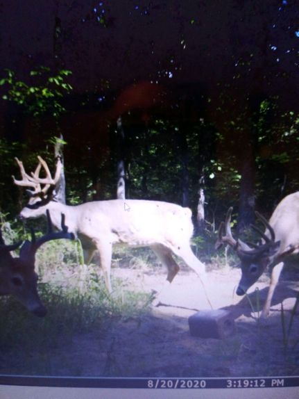 Hunting Property in Marshall County, Kentucky