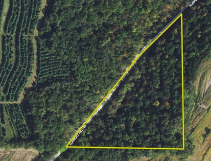 Undeveloped Land in Winona County, Minnesota