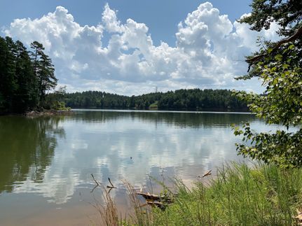 Timberland Property in Caldwell County, North Carolina