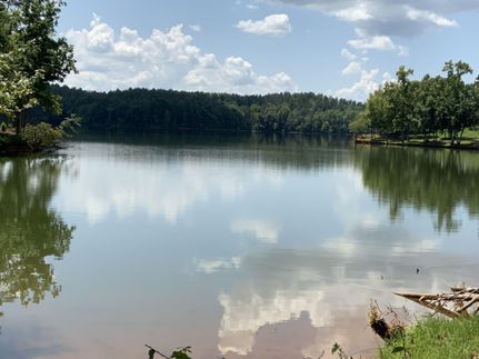 Timberland Property in Caldwell County, North Carolina