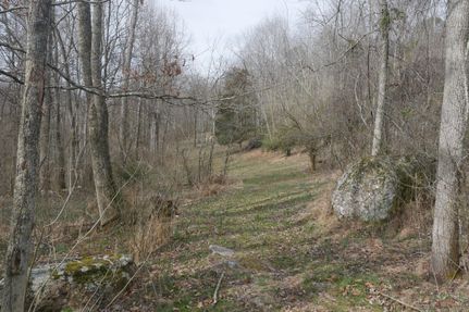 Undeveloped Land in Washington County, Virginia