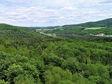Timberland Property in Washington County, Vermont