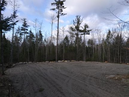 Undeveloped Land in Penobscot County, Maine