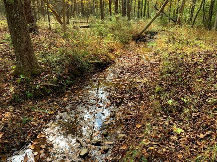 Land in Hampshire County, West Virginia
