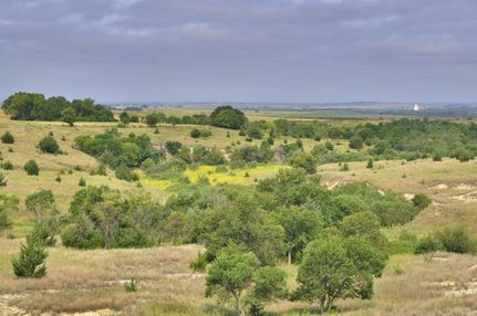 Farm and Ranch in Phillips County, Kansas