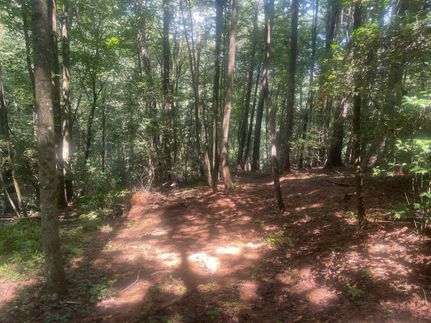 Hunting Property in Wilkes County, North Carolina