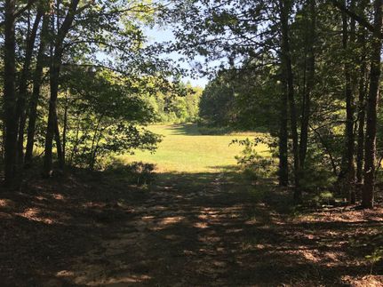 Undeveloped Land in Alcona County, Michigan