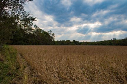 Farm and Ranch in Knox County, Illinois