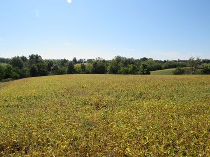 Farm and Ranch in Davis County, Iowa