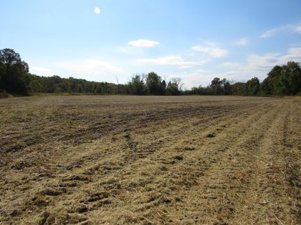 Farm and Ranch in Davis County, Iowa