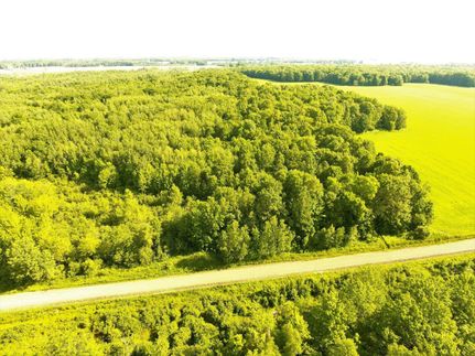 Hunting Property in Taylor County, Wisconsin