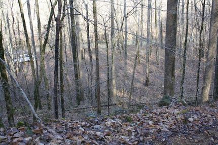 Hunting Property in Putnam County, Tennessee
