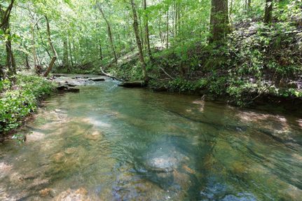 Farm and Ranch in Cleburne County, Alabama
