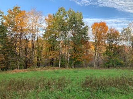 Farm and Ranch in Madison County, New York