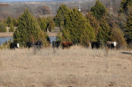 Land in Okfuskee County, Oklahoma