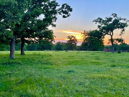 Timberland Property in Burleson County, Texas