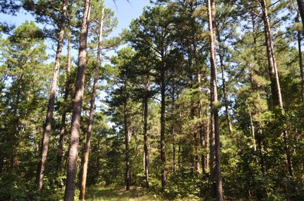 Timberland Property in Stone County, Arkansas