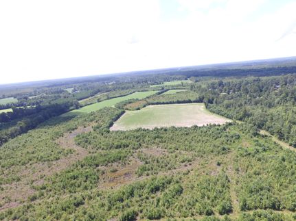 Farm and Ranch in Williamsburg County, South Carolina