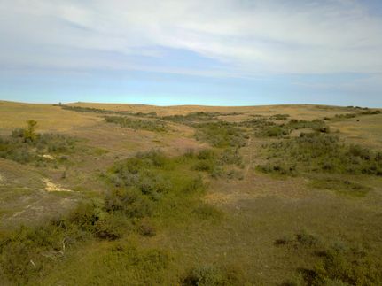 Land in Richland County, Montana