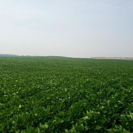 Land in Barnes County, North Dakota