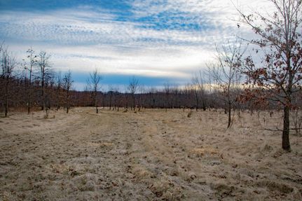Timberland Property in Knox County, Illinois