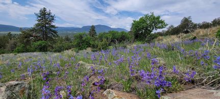 Recreational Property in Fremont County, Colorado