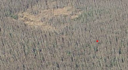 Farm and Ranch in Osceola County, Florida