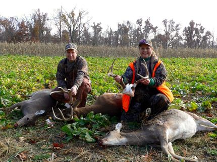 Farm and Ranch in Pope County, Illinois