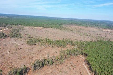 Farm and Ranch in Tangipahoa Parish, Louisiana