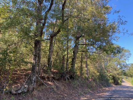 Timberland Property in Amite County, Mississippi