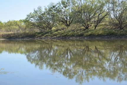 Undeveloped Land in Coleman County, Texas