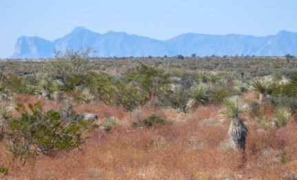 Land in Culberson County, Texas