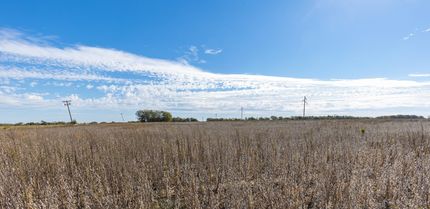 Farm and Ranch in Allen County, Kansas