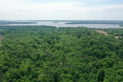 Timberland Property in Chesterfield County, Virginia