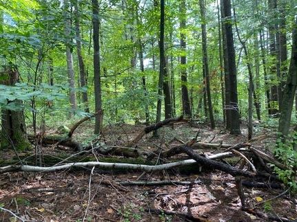 Recreational Property in Hampden County, Massachusetts