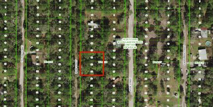 Undeveloped Land in Pasco County, Florida