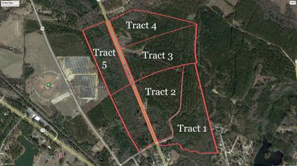 Undeveloped Land in Treutlen County, Georgia