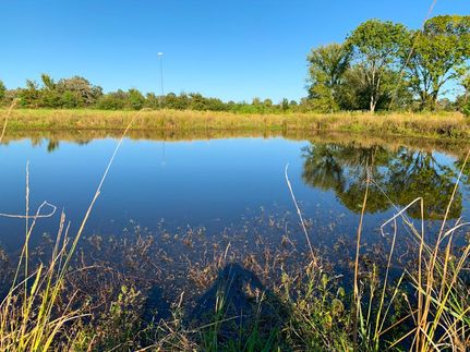 Timberland Property in Houston County, Texas