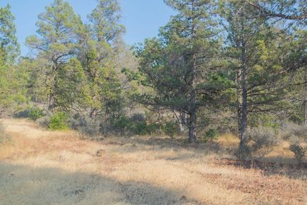 Undeveloped Land in Shasta County, California