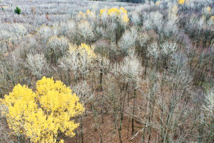 Farm and Ranch in Taylor County, Wisconsin