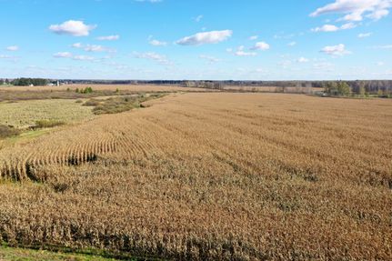 Farm and Ranch in Taylor County, Wisconsin