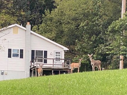 Recreational Property in Bedford County, Pennsylvania