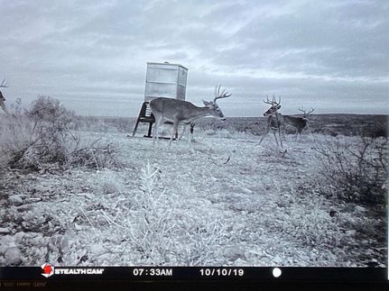 Land in Val Verde County, Texas