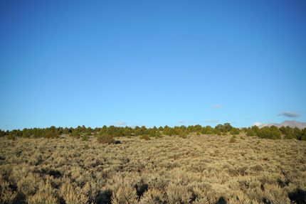 Undeveloped Land in Costilla County, Colorado