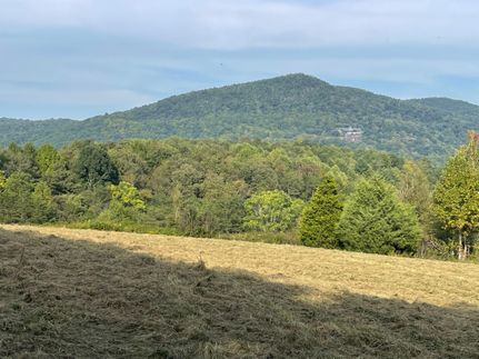 Undeveloped Land in Wilkes County, North Carolina