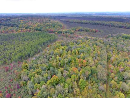 Hunting Property in Rusk County, Wisconsin