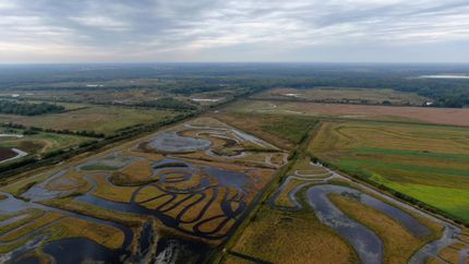 Farm and Ranch in Saline County, Missouri