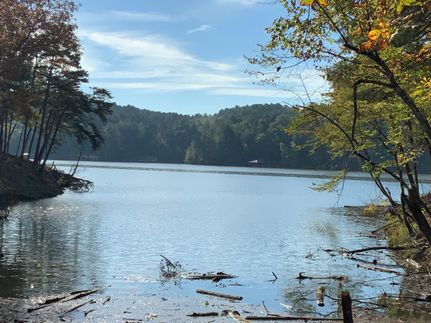 Timberland Property in Caldwell County, North Carolina