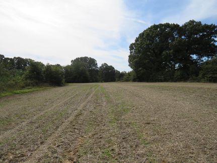 Farm and Ranch in Fayette County, Tennessee