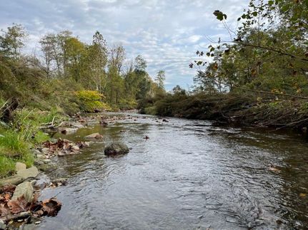 Farm and Ranch in Steuben County, New York
